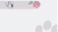 kartvizit kurumsal kimlik