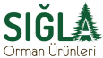 Örnek Logo Tasarımlarım
