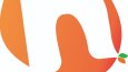 Opsiyonel Logo Tasarımı - Kullanım (H)