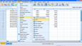 SPSS