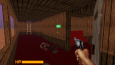 Retro fps oyunu