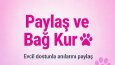 PatiLink