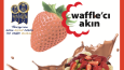 Konsept Logo ve grafik tasarımları + menü