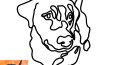 Lineart