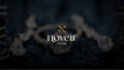 NOVEIR - Logo Tasarımı