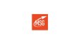 MSG