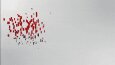 ERD Tasarım - Google Ads Banner
