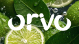 Orvo Logo Tasarımı
