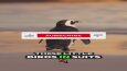 Youtube belgesel kanalı için yatay ve dikey videolar