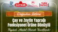 SOSYAL MEDYA TASARIMLARI 