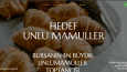 Modern Web Tasarım ve Geliştirme Çözümleri