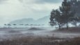 Profesyonel Fotoğraf Düzenleme