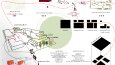 diagram ve konsept şeması oluşturma 
