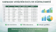 PDF’den Excel’e Veri Aktarımı