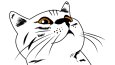 Dijital Çizim