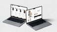 Website Tasarımları