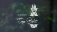 Diyetisyen Özge Bolat Logo Tasarımı