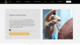 Wordpress Sağlık Turizmi Web Sitesi