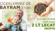 Banner-Slider Reklam Tasarımı