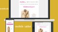 Mail Şablon Tasarımı + Responsive HTML CSS Kod Giydirme