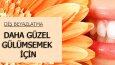 Konsept sektör tasarımları