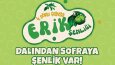 Logo Tasarımlarım