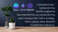 AI Destekli Sanatsal Görsel Optimizasyonu