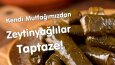 Web Sitesi Çalışmaları