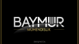 (Gerçek İş Örnekleri) Logo Tasarımlarım