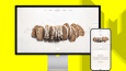 Wordpress Web Tasarımı
