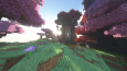 Minecraft Pro & Standart Paket