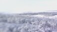 Motion (Hareketli) Tasarımlar