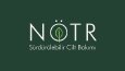 NÖTR — Modern ve Minimalist Kurumsal Logo Tasarımı