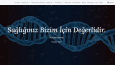 Firmanız için profesyonel bir web sitesi