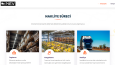 Website