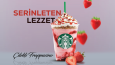 Starbucks - Örnek Katalog Tasarımı