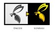 Logo Çalışmaları, Kurumsal Kimlik, Vektörel Çizim