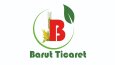 Logo Tasarımı