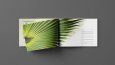 Palm City - Katalog Tasarımı