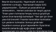 BEGÜM'ÜN BÜYÜLEYİCİ KALEMİ