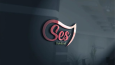 Profesyonel Logo Tasarımı