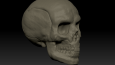 3D Modelleme Portfolyom
