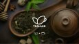 TeaLand- Reklam Kampanyası
