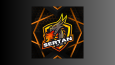 LOGO TASARIMLARIM