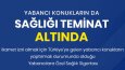 Ben markan için dikkat çekici Reels videoları tasarlıyorum