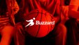 Buzzard - Logo Tasarımı