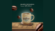 Viento Coffee - Tasarım