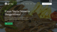 Wordpress Site Tasarımı