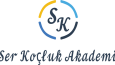 Logo Örnekleri