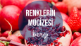 Instagram İçerik Serisi-Renklerin Mucizesi